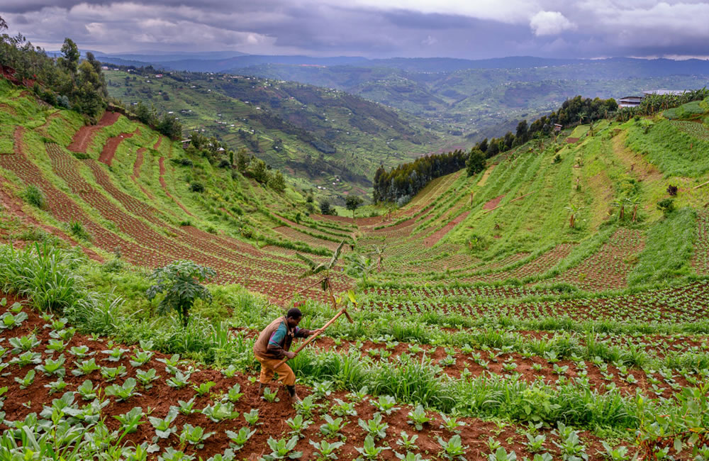 7 Reasons Why Travel to Rwanda