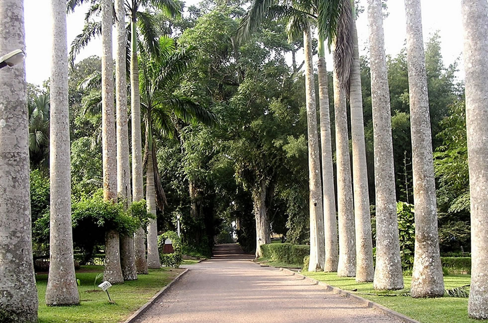 Aburi Botanical Garden in Ghana