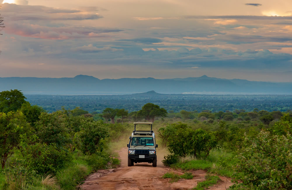 Things to Know Before Renting a Car in East Africa